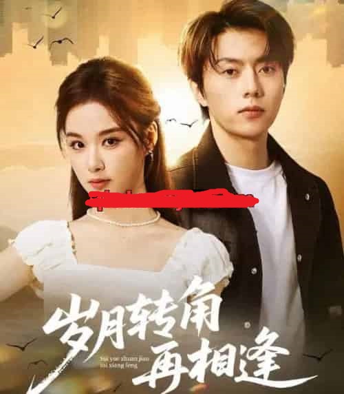 岁月转角再相逢（80集全）张磊＆王宇婧-紫橙网创项目网