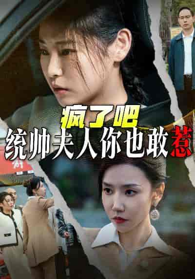 疯了吧统帅夫人你也敢惹（33集全） - 紫橙阁短剧