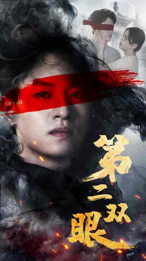 第二双眼（90集） - 紫橙阁短剧