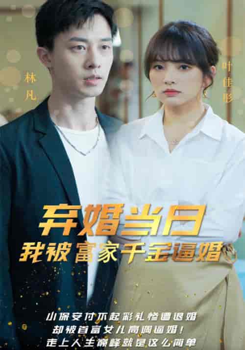 弃婚当日，我被富家千金逼婚（98集全）林凡＆叶佳彤 - 紫橙阁短剧