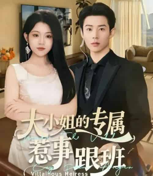 大小姐的专属惹事跟班（68集全）张凤鑫＆刘艺乔-紫橙网创项目网