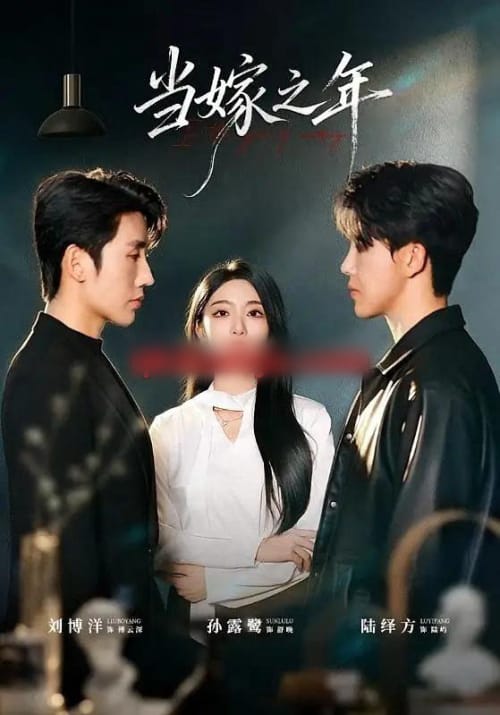 当嫁之年(75集全)刘博洋&孙露鹭(1080P)-紫橙网创项目网