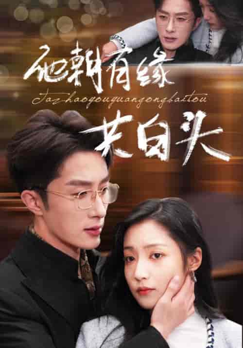 他朝有缘共白头（63集全）宫沉＆林知意 - 紫橙阁短剧