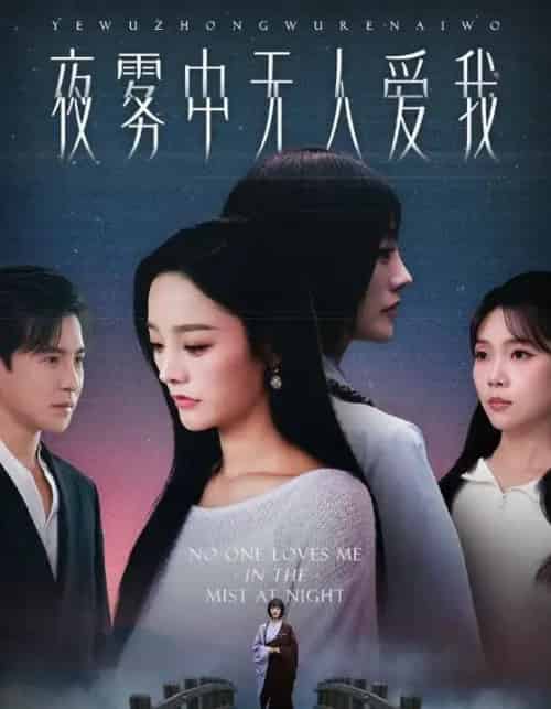 夜雾中无人爱我(72集全)李子锋&李胜楠-紫橙网创项目网