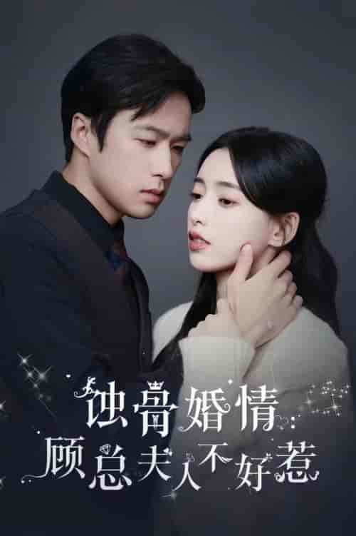 蚀骨婚情:顾总夫人不好惹 蚀骨婚情:顾总夫人不好惹