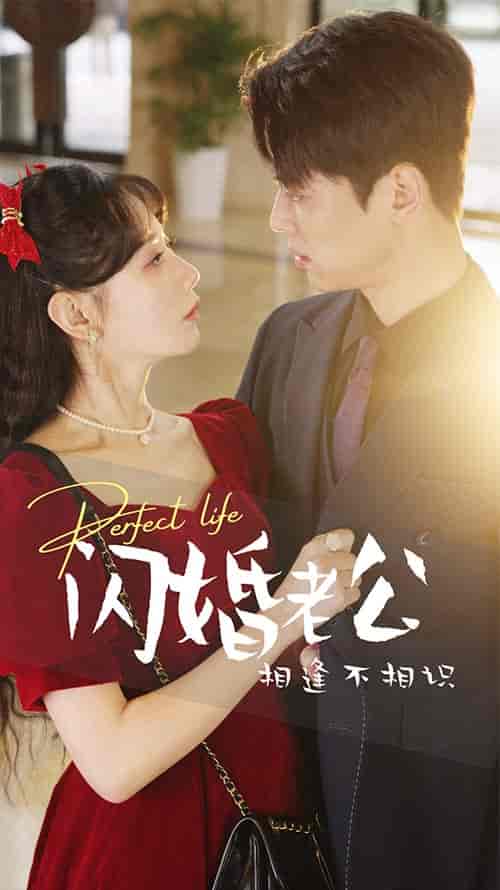 闪婚老公相逢不相识（90集） - 紫橙阁短剧