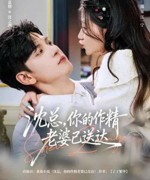 沈总,你的作精老婆已送达(94集全)王嘉懋&兰岚-紫橙网创项目网