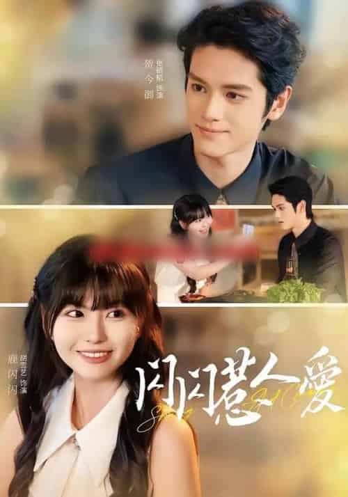 闪闪惹人爱（60集全）胡雪艺＆张硕航-紫橙网创项目网