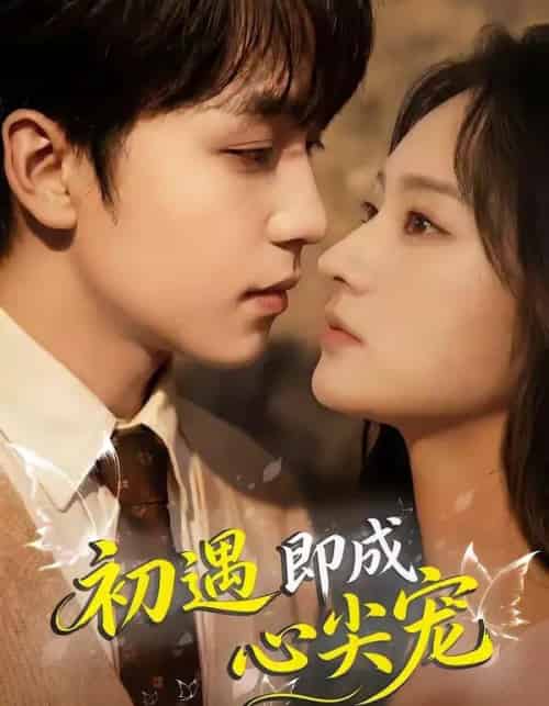 初遇即成心尖宠(45集全)田常见&胡冬晴-紫橙网创项目网