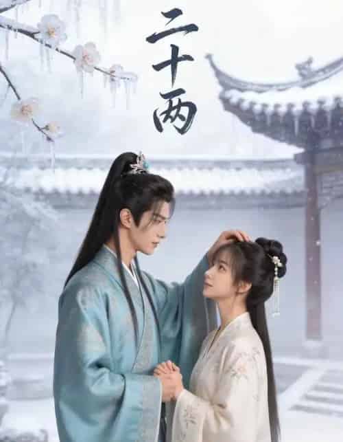 二十两（60集全）AI-紫橙网创项目网