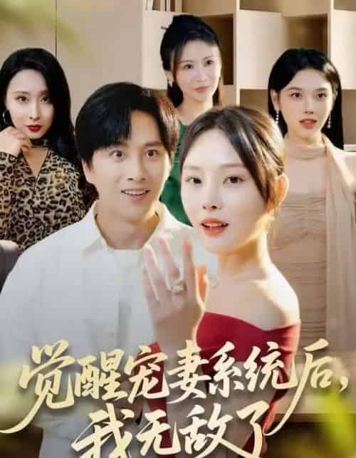 觉醒宠妻系统后，我无敌了（80集全）陈雷雷＆林非梵-紫橙网创项目网