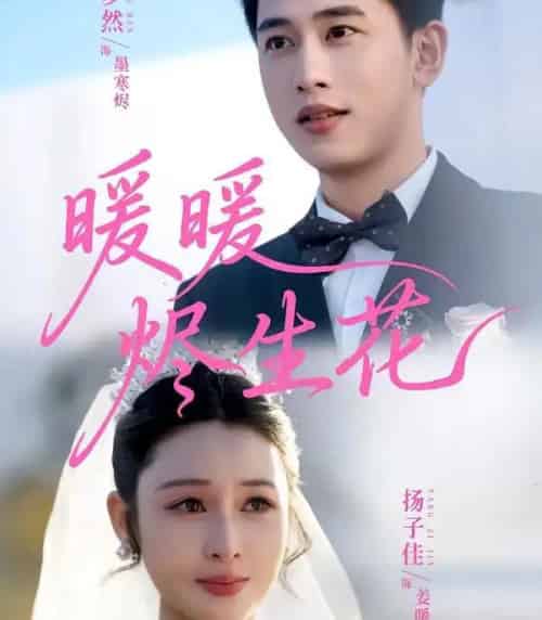 暖暖烬生花（65集全）李梦然＆扬子佳-紫橙网创项目网