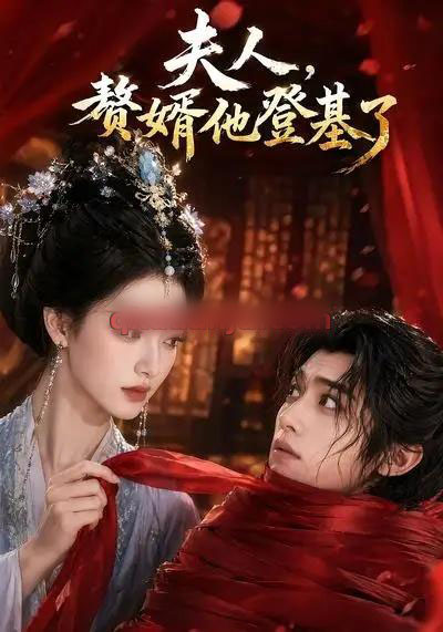 夫人,赘婿他登基了(20集全)AI短剧-紫橙网创项目网