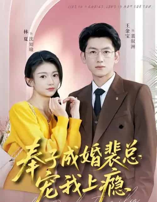奉子成婚裴总宠我上瘾（59集全）王金宝＆林夏-紫橙网创项目网