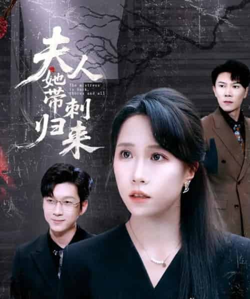 夫人她带刺归来（70集）陈伟华＆惠一秋 - 紫橙阁短剧
