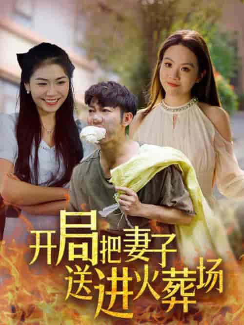 开局把妻子送进火葬场（45集全）-紫橙网创项目网