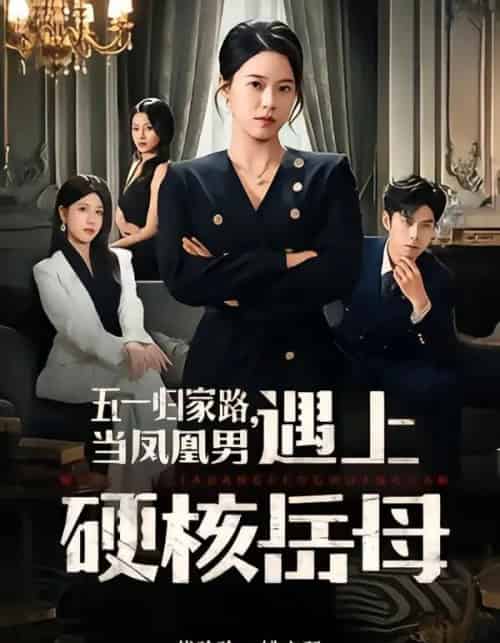 五一归家路,当凤凰男遇上硬核岳母(60集全)代玲玲&秦子墨-紫橙网创项目网