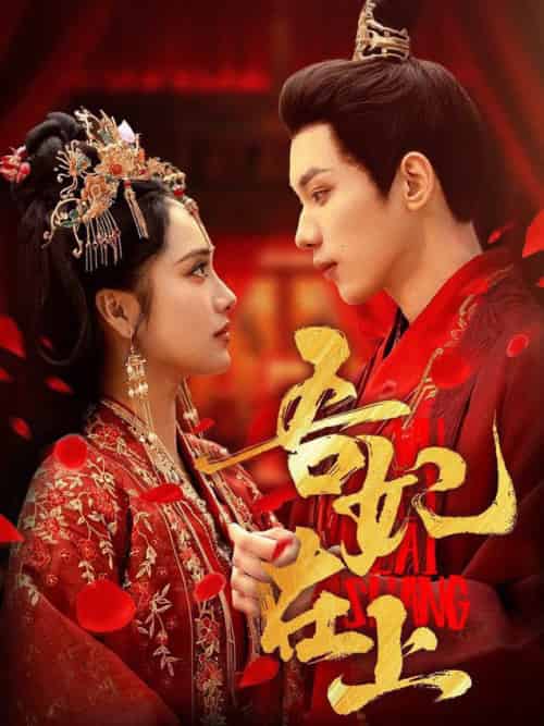 吾妃在上（70集全）刘昱辰＆吴添豪 - 紫橙阁短剧