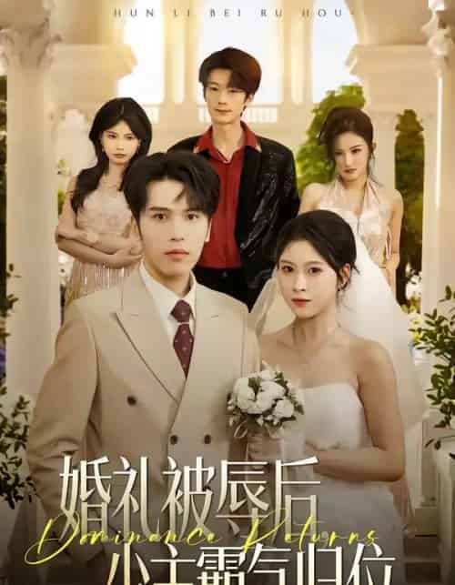 婚礼被辱后：少主霸气归位（43集全）王志鹏＆邱圆-紫橙网创项目网