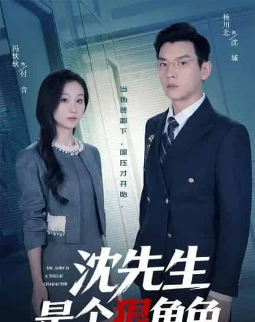 沈先生是个狠角色(50集全)杨川北&冯软软-紫橙网创项目网