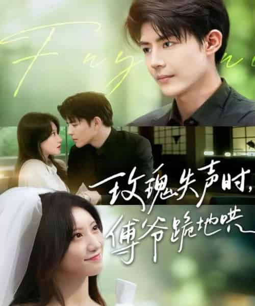 玫瑰失声时傅爷跪地哄（70集）詹妮＆于济玮 - 紫橙阁短剧