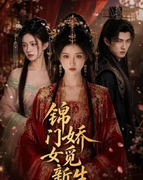 锦门娇女觅新生(50集全)AI-紫橙网创项目网