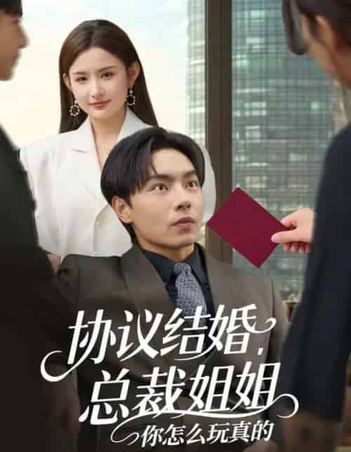 协议结婚，总裁姐姐你怎么玩真的（85集全）张闻宇＆董鹿鹿-紫橙网创项目网