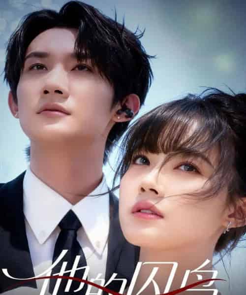 他的囚鸟 他的囚鸟