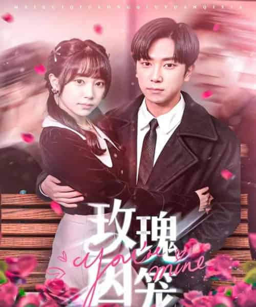 玫瑰囚笼（81集全）张旭＆沈南姝-紫橙网创项目网