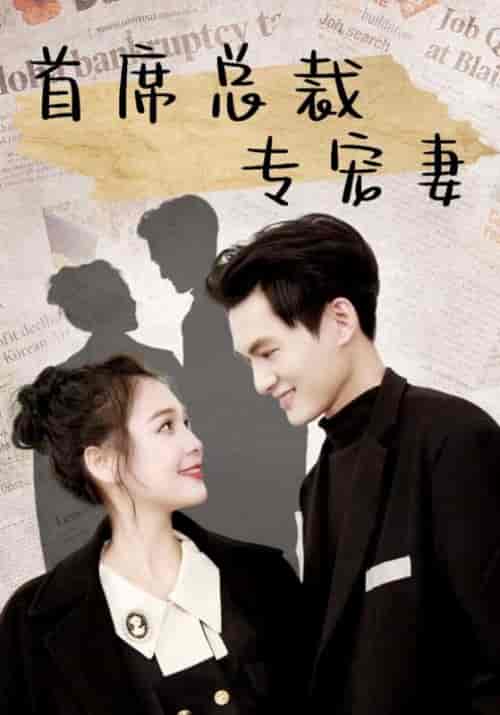 首席总裁专宠妻（86集全）夜南天＆陆倾城 - 紫橙阁短剧