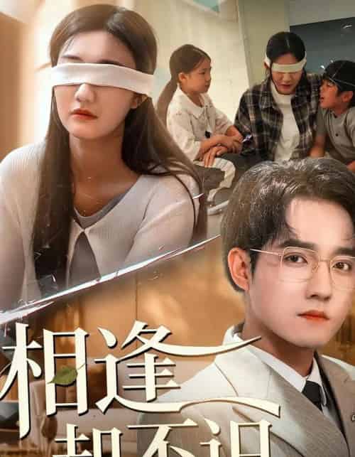 相逢却不识(77集全)刘静阳&程汁-紫橙网创项目网