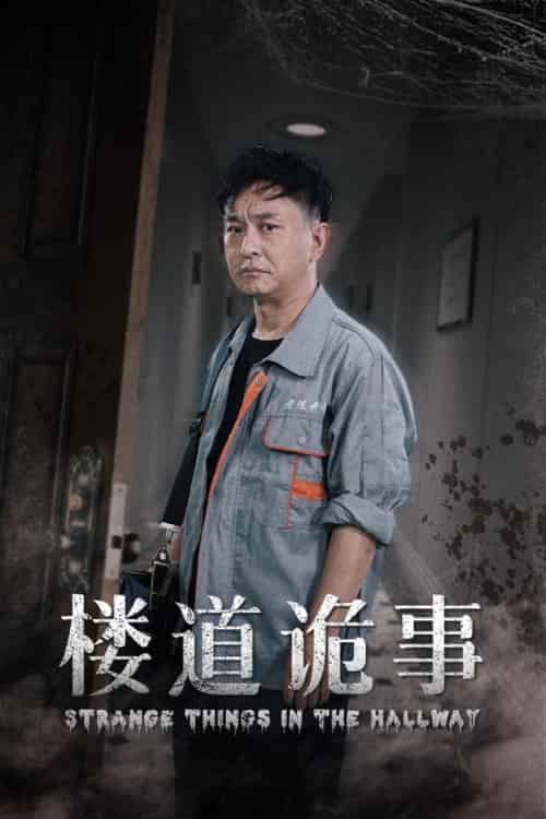 楼道诡事＆消失的1803（23集） - 紫橙阁短剧