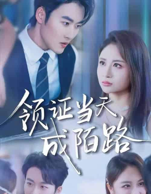 领证当天成陌路（39集全）姜博龙＆李佳乐-紫橙网创项目网