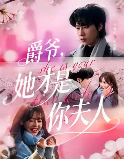 爵爷,她才是你夫人(84集全)张韫韬&仇乐瑶-紫橙网创项目网