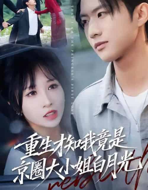 重生才知我竟是京圈大小姐白月光(80集全)卞菁-紫橙网创项目网