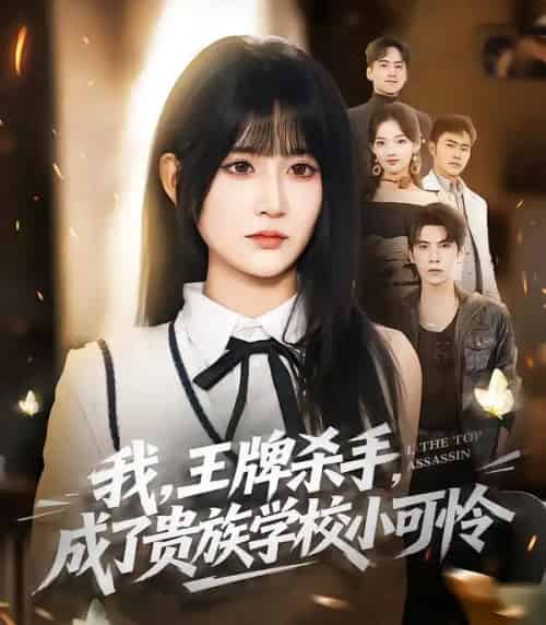 我，王牌杀手，成了贵族学校小可怜（80集全）吴宇航＆杨珊子-紫橙网创项目网