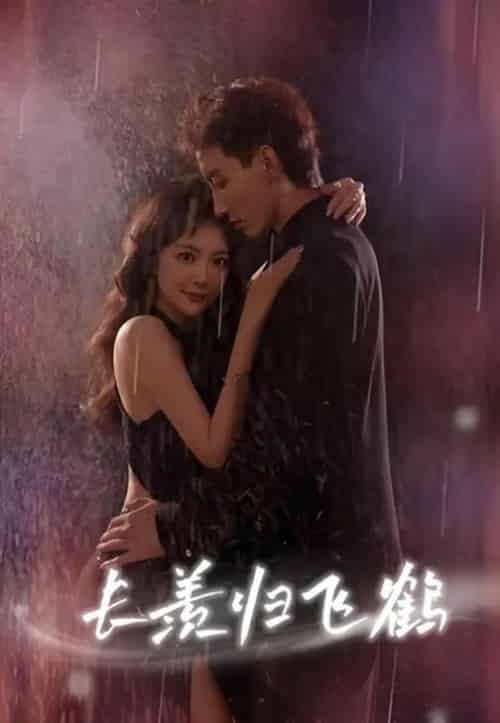 长羡归飞鹤 (70集) 霍文琦 长篇-紫橙网创项目网