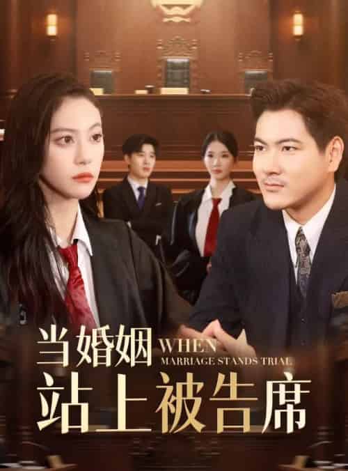 当婚姻站上被告席 当婚姻站上被告席