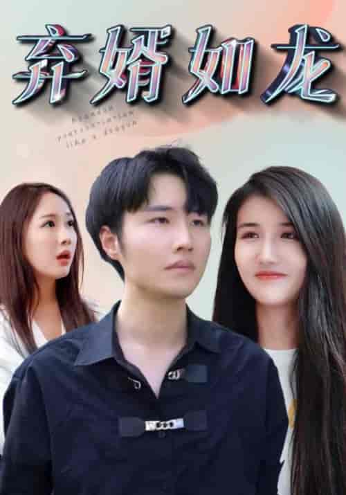 弃婿如龙（91集全）林枫＆程清雅 - 紫橙阁短剧