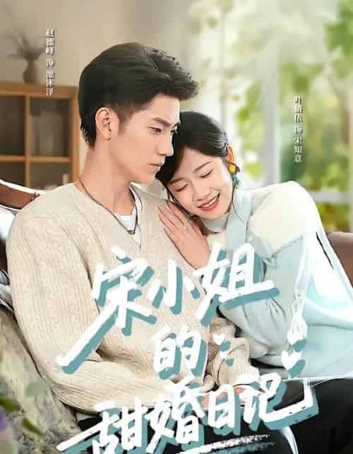 宋小姐的甜婚日记（60集全）叶婧依＆赵德峰-紫橙网创项目网