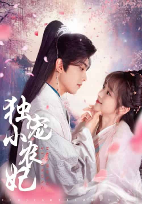 独宠小农妃（63集全）韦若辰＆蔡淼燕 - 紫橙阁短剧