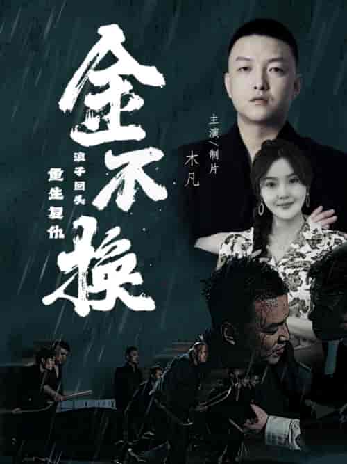 金不换（32集） - 紫橙阁短剧