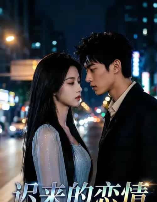 迟来的恋情（40集全）AI-紫橙网创项目网