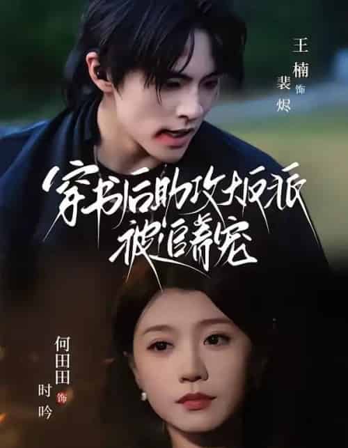 穿书后助攻大反派被追着宠(70集全)王楠&何田田-紫橙网创项目网