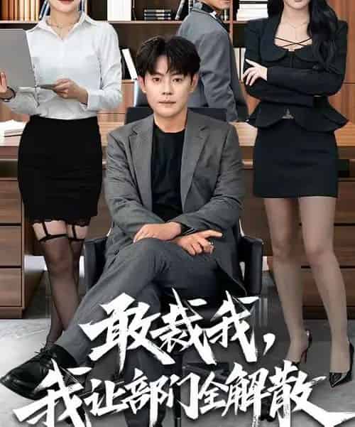 敢裁我，我让部门全解散（82集全）杨妍＆邱浩轩-紫橙网创项目网