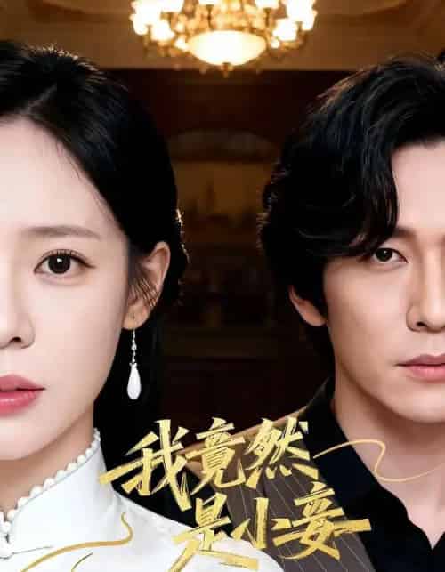 我竟然是小妾(47集全)李家豪&朱彤-紫橙网创项目网