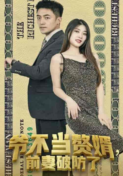 爷不当赘婿,前妻破防了 爷不当赘婿,前妻破防了