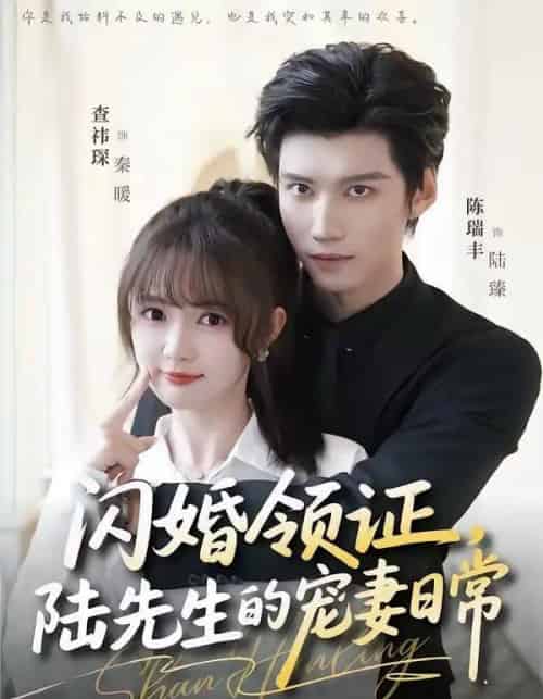 闪婚领证,陆先生的宠妻日常(86集全)陈瑞丰&查祎琛-紫橙网创项目网