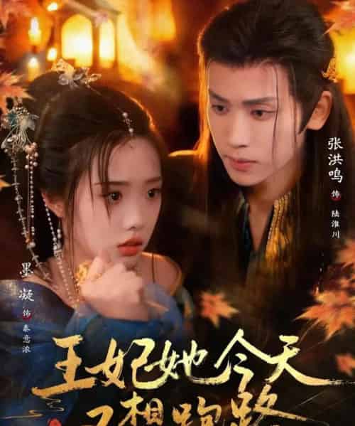 王妃她今天又想跑路（62集全）张洪鸣＆墨凝-紫橙网创项目网