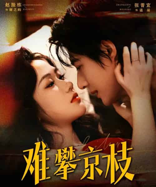 难攀京枝(74集全)赵振栋&张晋宜-紫橙网创项目网